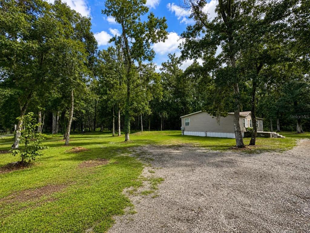 A single-story mobile home sits on a gravel driveway surrounded by a wooded yard — 13539 CITRUS WAY, BROOKSVILLE, FL