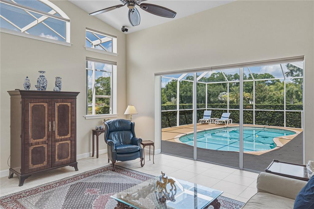 A living room with a blue leather chair, large windows, and a view of a pool — 19616 AMAZON BASIN BEND, LUTZ, FL