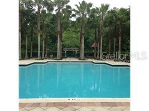 A rectangular swimming pool is surrounded by a paved deck and tall palm trees — 705 CENTERVALE DRIVE, CELEBRATION, FL