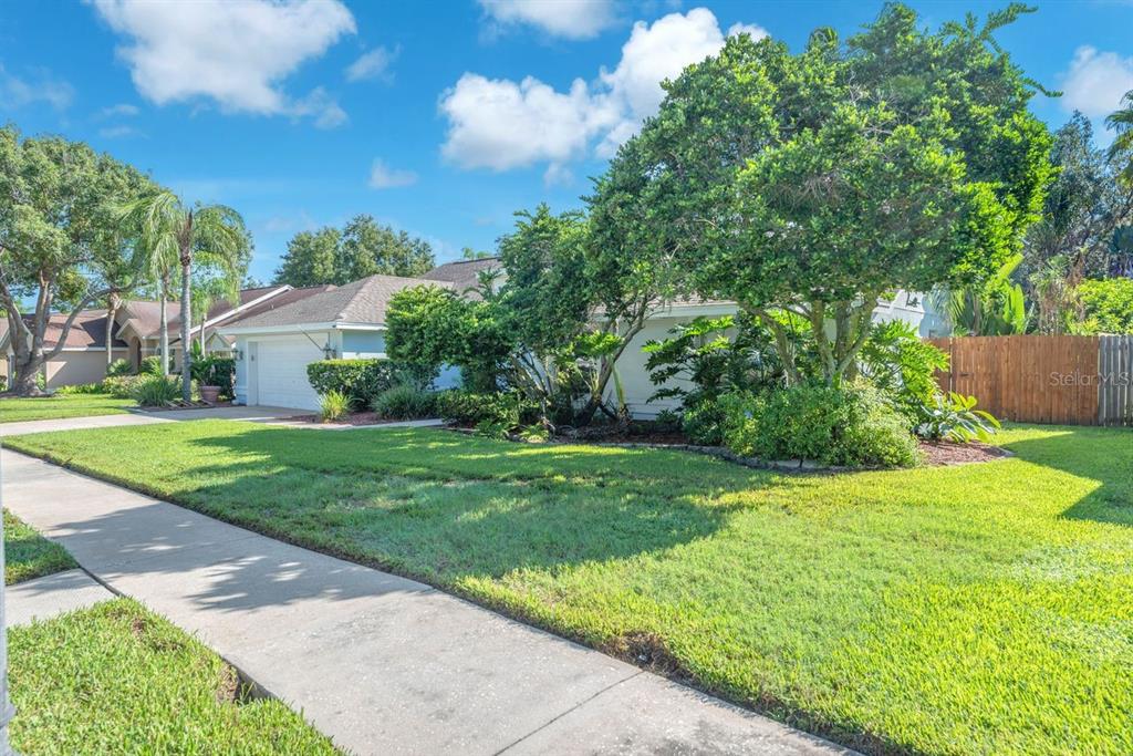 4008 EAGLES NEST DRIVE, VALRICO, FL — photo 3 of 30