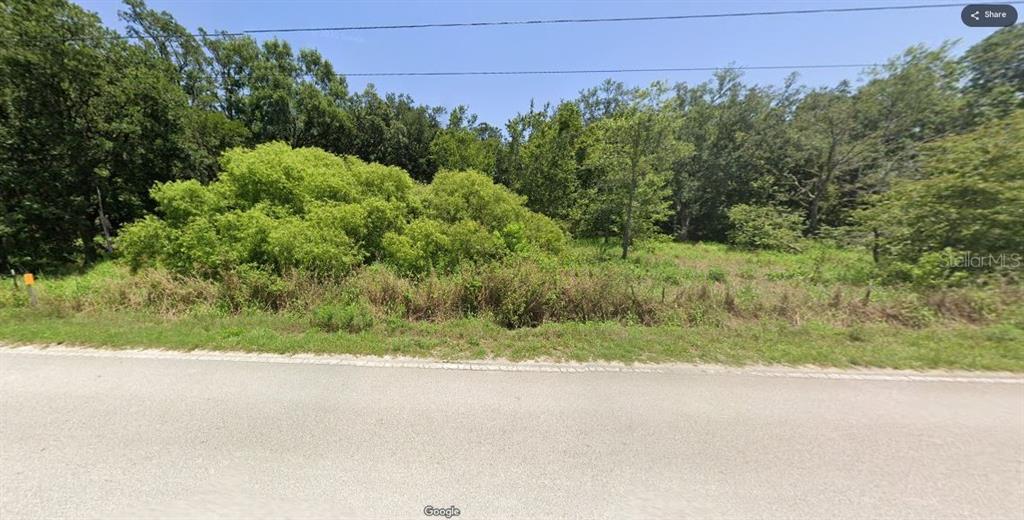 A vacant, wooded lot sits alongside a paved road under a clear blue sky — OCONNER ROAD, KATHLEEN, FL