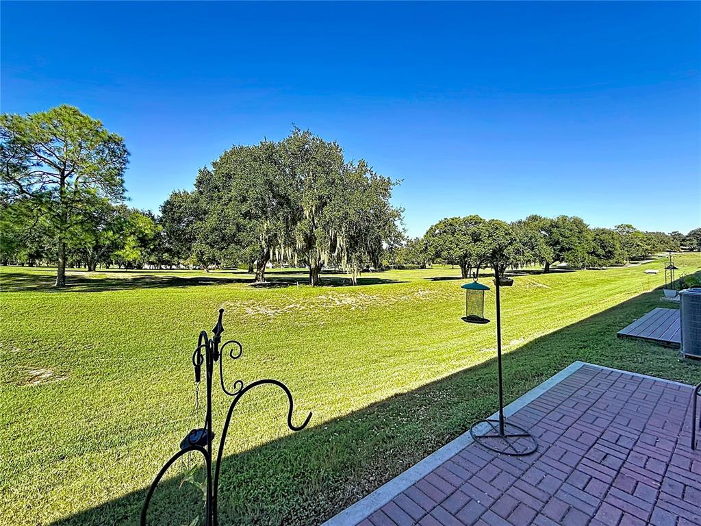8460 MAGNIFICENT LANE, GROVELAND, FL — photo 4 of 30