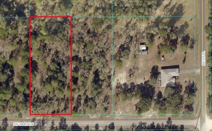 TBD SW PAPAYA LANE, DUNNELLON, FL — photo 2 of 2