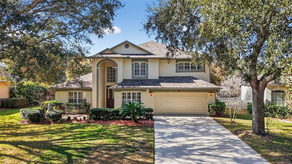 729 STRIHAL LOOP