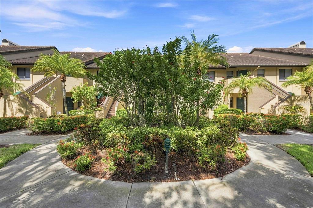 A landscaped garden bed sits in front of two-story townhouses with palm trees and walkways — 5726 ASHTON LAKE DRIVE UNIT 11, SARASOTA, FL