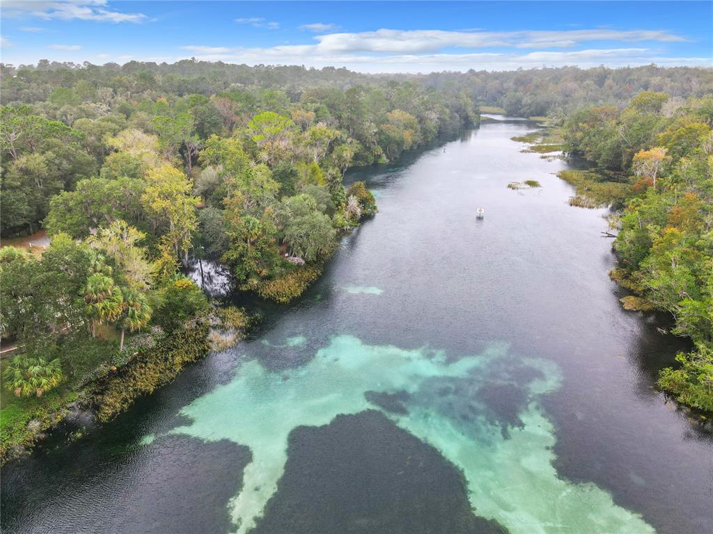 An aerial view of a clear, spring-fed river surrounded by dense forest and vegetation — 19647 SW 93RD PLACE, DUNNELLON, FL