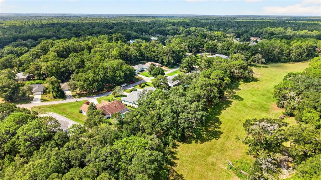 An aerial view shows a residential neighborhood surrounded by dense trees and open grassy fields — 19647 SW 93RD PLACE, DUNNELLON, FL