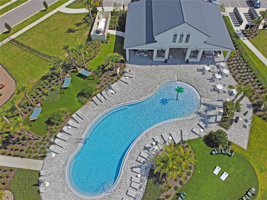 An aerial view shows a curved swimming pool with a palm tree feature and lounge chairs — 437 WATERFORD DRIVE, LAKE ALFRED, FL