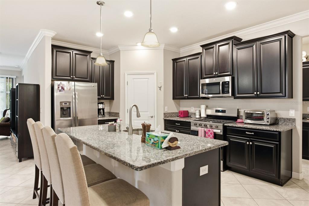 A kitchen with dark cabinets, granite countertops, a central island, and stainless steel appliances — 16936 BALANCE COVE, LAND O LAKES, FL
