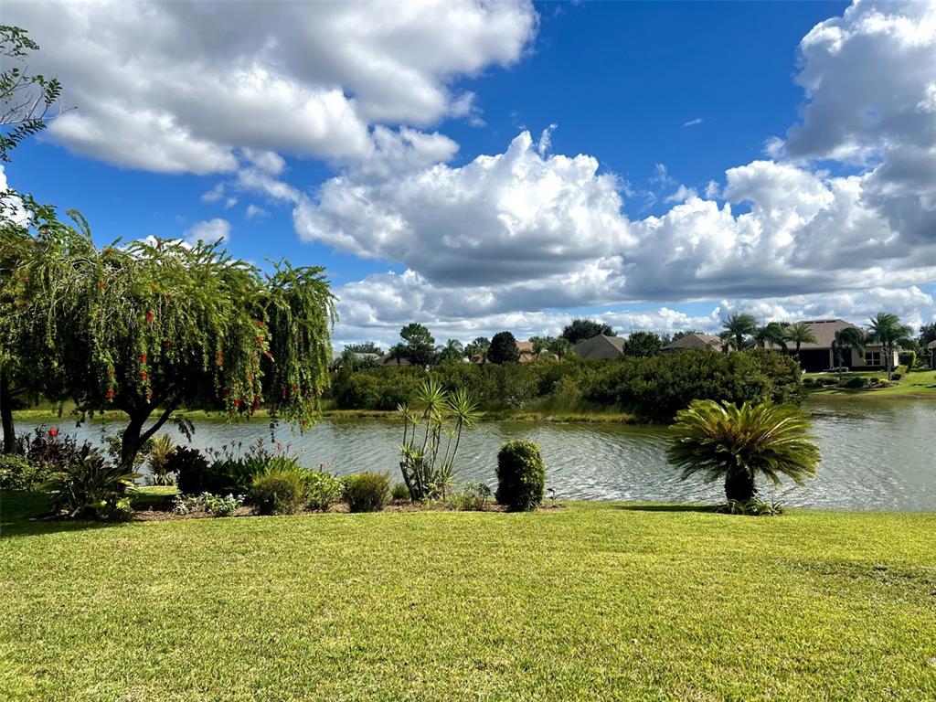 A grassy lawn overlooks a pond with trees and houses in the background — 8860 BRIDGEPORT BAY CIRCLE, MOUNT DORA, FL