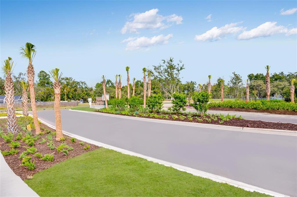 A paved road curves through a landscaped area featuring young palm trees and green shrubs — 13729 SQUALL LANE, HUDSON, FL