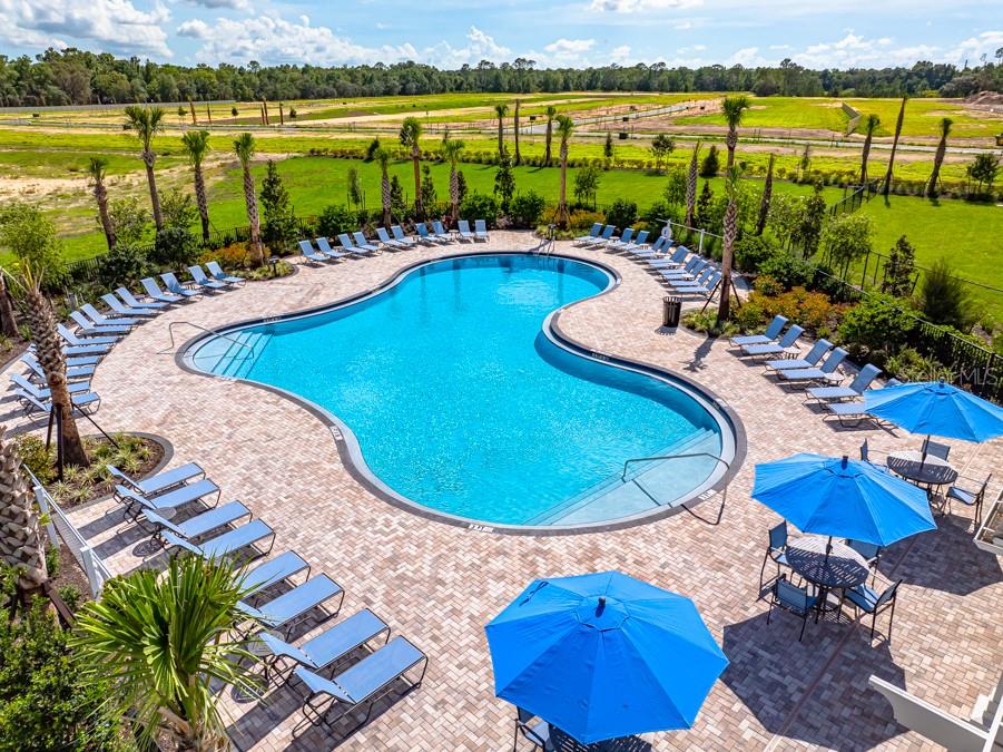 An aerial view of a kidney-shaped swimming pool surrounded by lounge chairs and blue umbrellas — 13729 SQUALL LANE, HUDSON, FL