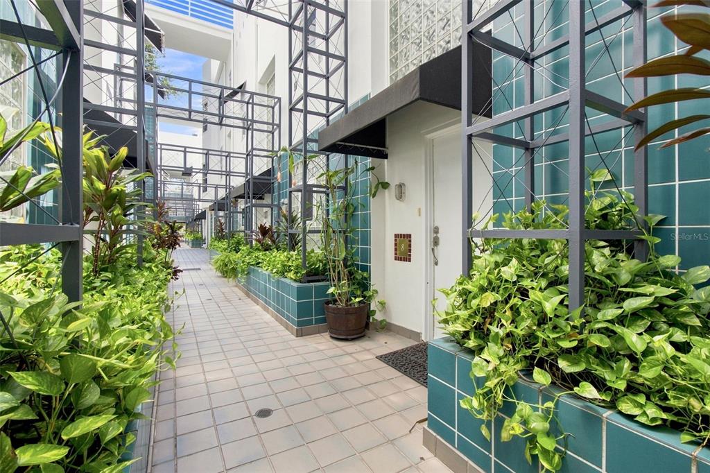 A tiled outdoor walkway features metal trellises, teal planters with lush greenery, and white doors — 4950 BAYSHORE BLVD UNIT 8, TAMPA, FL