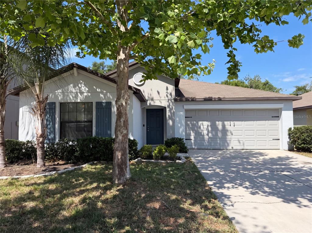 12707 LEMON PEPPER DRIVE