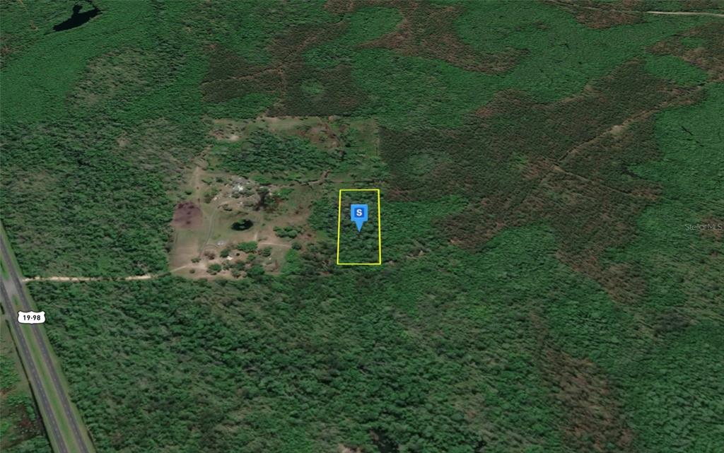 This aerial map shows a rectangular plot of land highlighted in yellow amidst dense forest — 15701 US-19, PERRY, FL