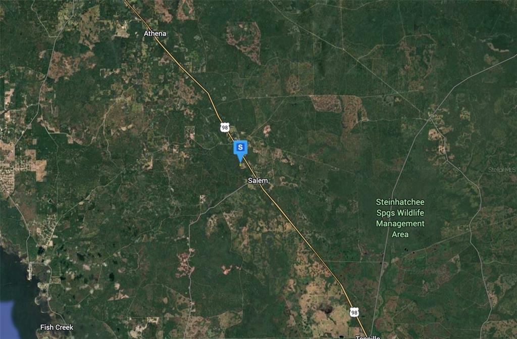 This is a satellite map showing the area around Salem, Florida, along Highway 98 — 15701 US-19, PERRY, FL