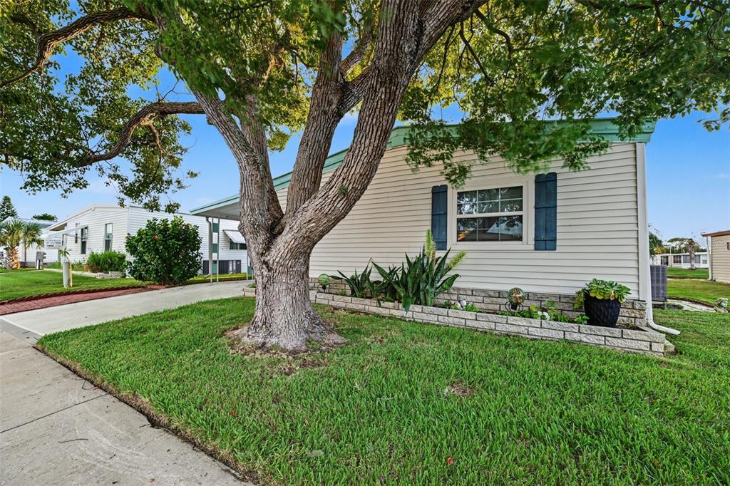 3207 BREWSTER DRIVE, HOLIDAY, FL — photo 3 of 69