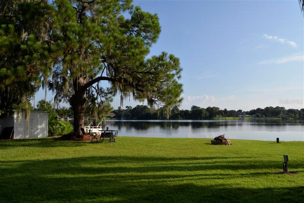 A large tree with Spanish moss stands on a grassy lawn overlooking a calm lake — 3045 CECELIA DRIVE, APOPKA, FL
