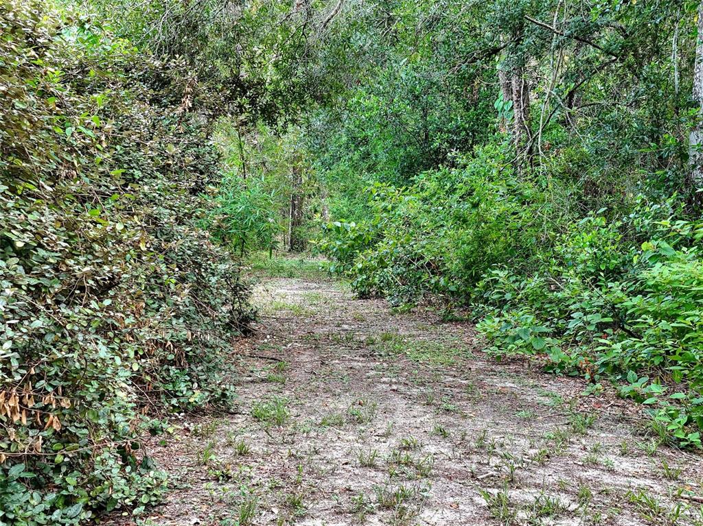 0 FORT DADE AVENUE, BROOKSVILLE, FL — photo 4 of 30