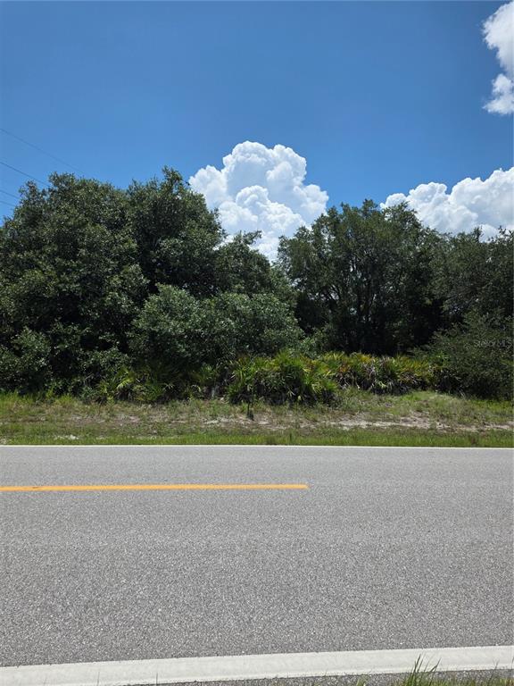 A paved road runs in front of a wooded lot with dense trees and shrubs — 1297 SULSTONE DRIVE, PUNTA GORDA, FL