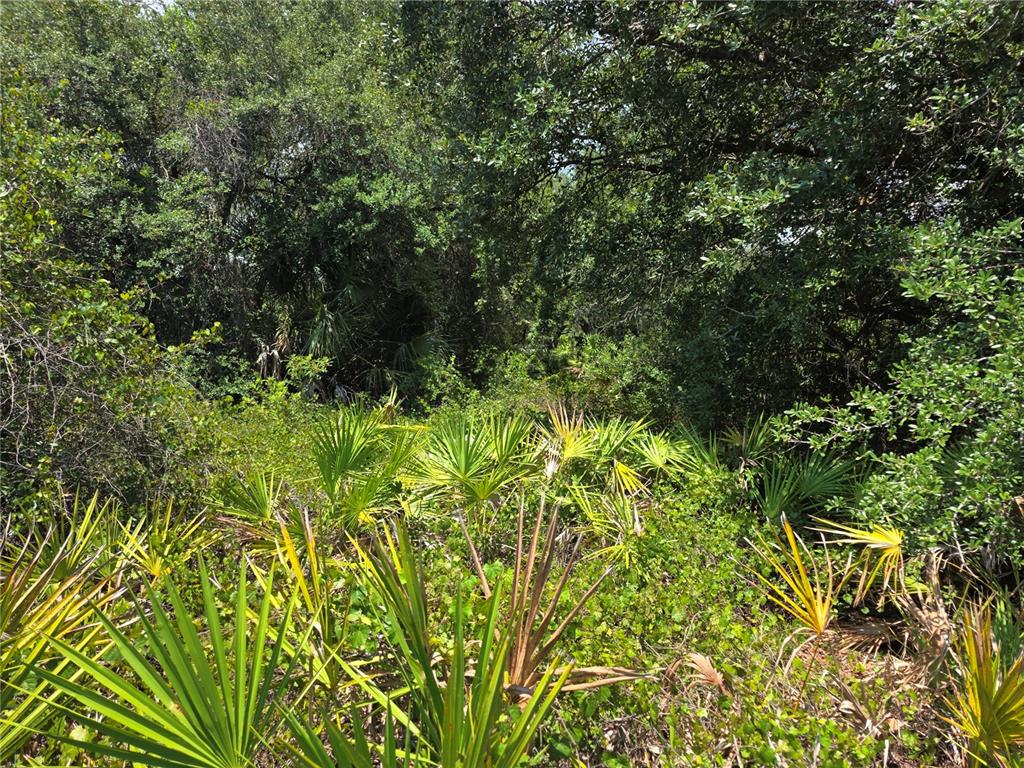 A dense, wooded lot features thick undergrowth, saw palmetto plants, and mature trees — 1297 SULSTONE DRIVE, PUNTA GORDA, FL
