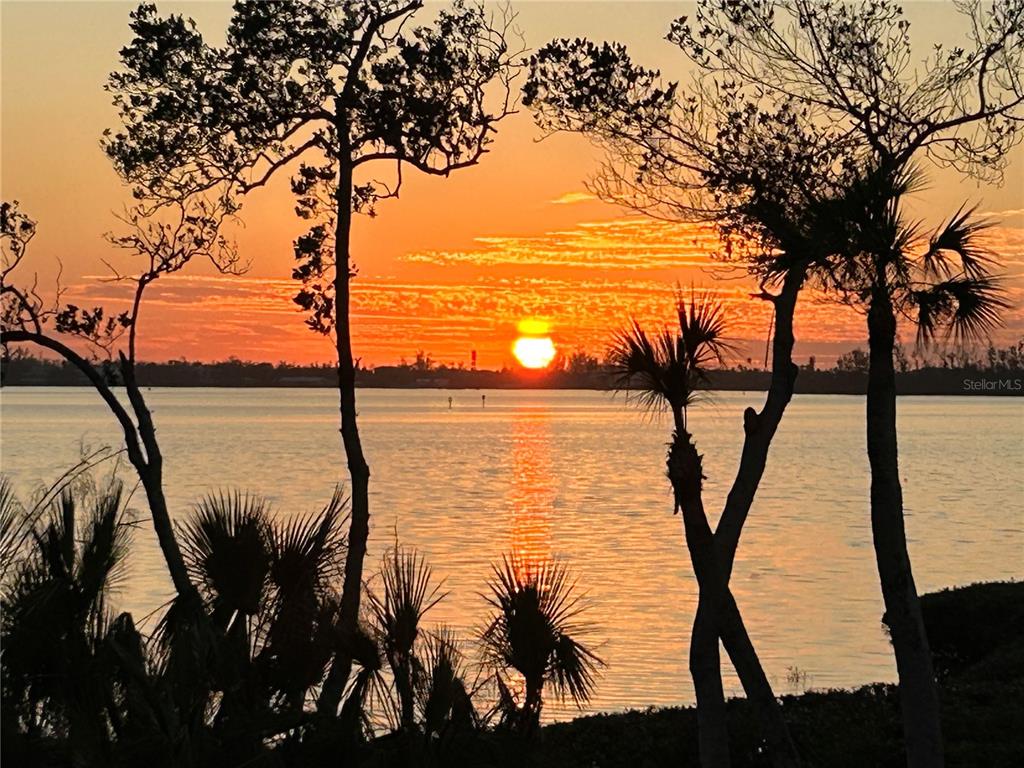 A sunset view over a body of water framed by silhouetted trees and palm trees — 76 TIDY ISLAND BOULEVARD, BRADENTON, FL