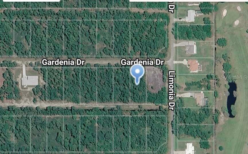 This is a satellite map view showing a vacant residential lot located on a street corner — 203 GARDENIA DRIVE, INDIAN LAKE ESTATES, FL