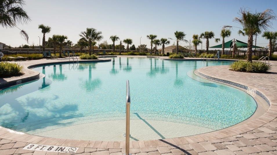A large outdoor swimming pool with a shallow entry area surrounded by palm trees — 3873 AMERS LOOP, HAINES CITY, FL