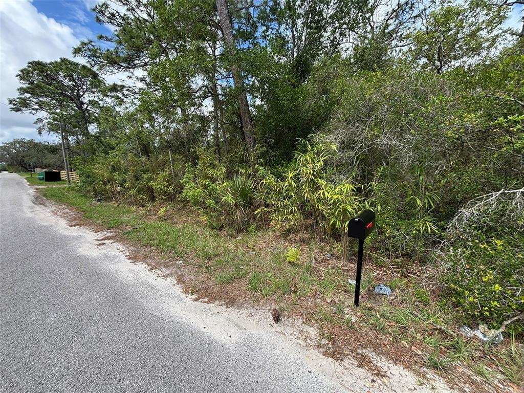 A black mailbox stands on a grassy shoulder next to a paved road and dense vegetation — 18379 THOMAS BOULEVARD, HUDSON, FL