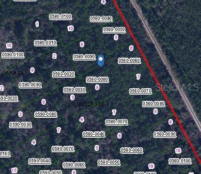 This is a satellite map showing property lot lines and parcel numbers in a wooded area — 422 MADISON STREET, SATSUMA, FL