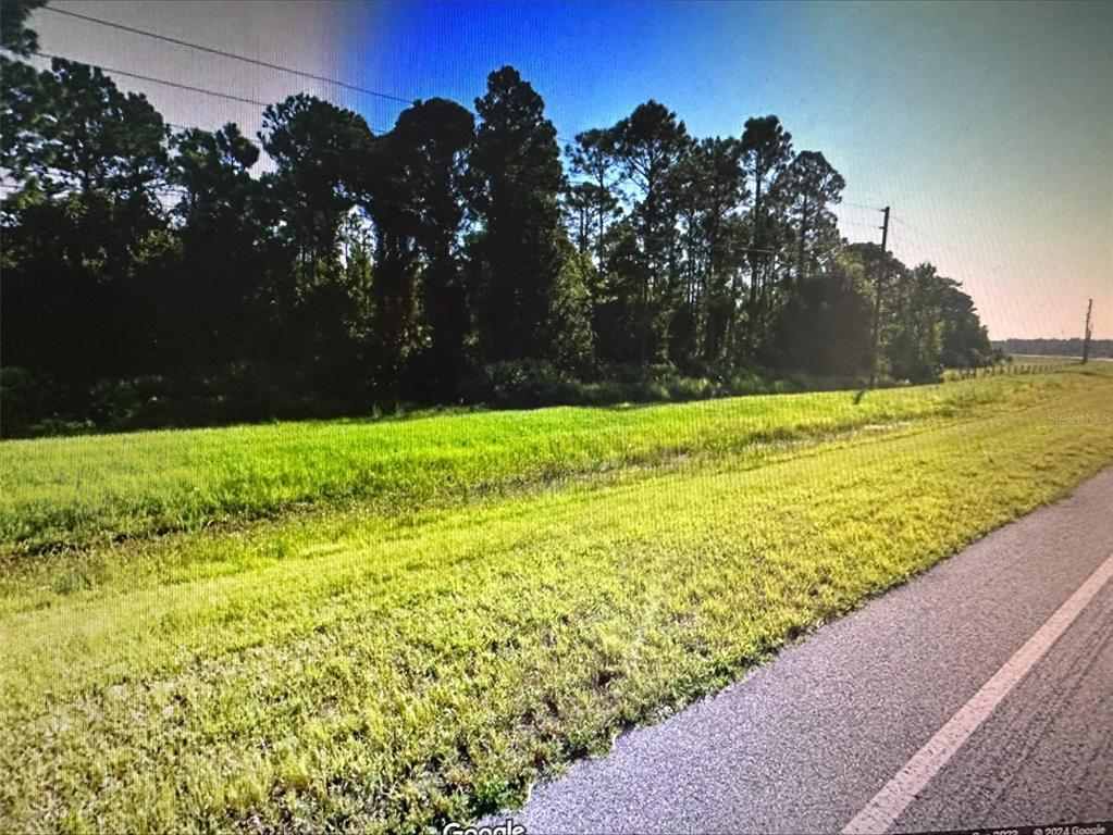 A grassy roadside verge borders a line of tall pine trees under a clear sky — E STATE ROAD 60, OKEECHOBEE, FL