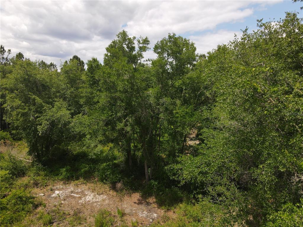 An aerial view shows a wooded lot with dense green trees and patches of sandy ground — TBD N STATE ROAD 121 UNIT 1, ALACHUA, FL
