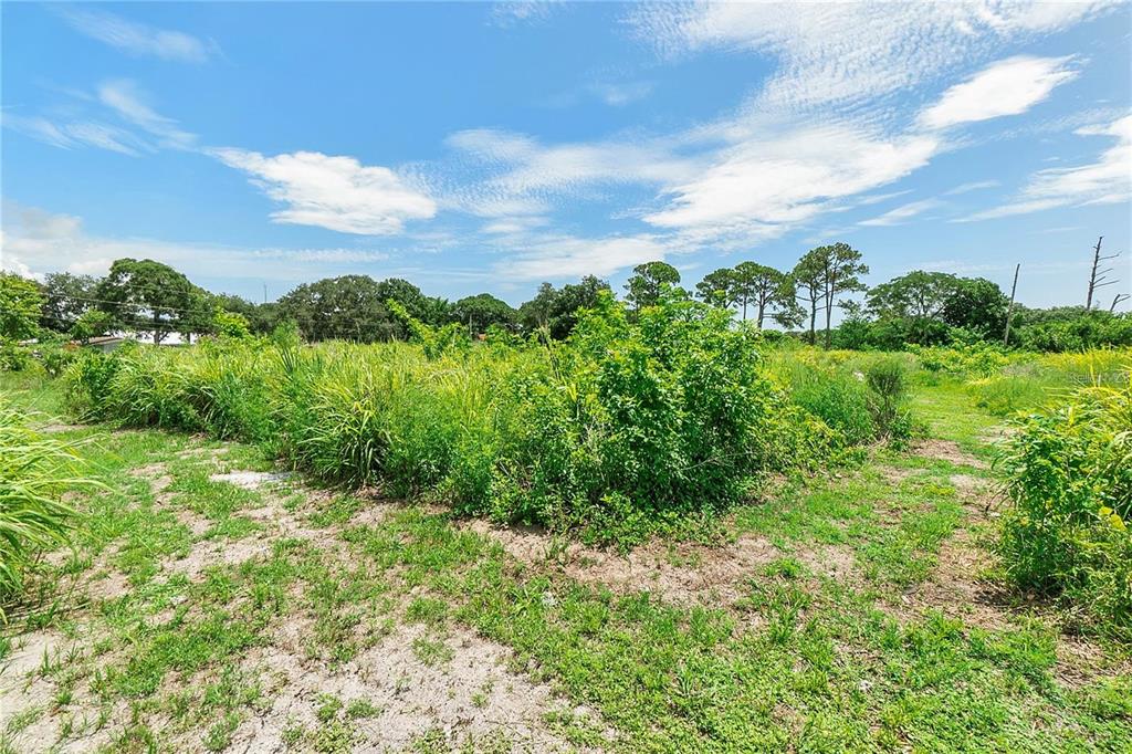 975 VIRGINIA AVENUE, ROCKLEDGE, FL — photo 5 of 9