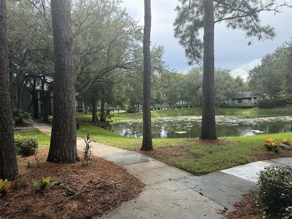 An empty room features light-colored walls, wood-look flooring, a ceiling fan, and sliding glass doors — 5136 PARK CENTRAL DRIVE UNIT 215, ORLANDO, FL