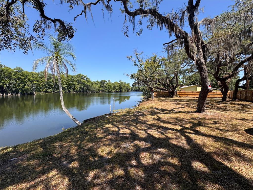 A grassy backyard overlooks a calm lake framed by large oak trees and a palm tree — HARNEY, TAMPA, FL