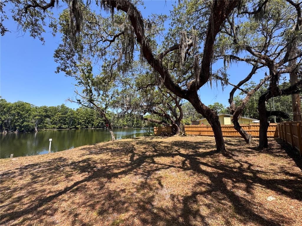 A grassy backyard with large oak trees overlooks a calm lake behind a wooden fence — HARNEY, TAMPA, FL