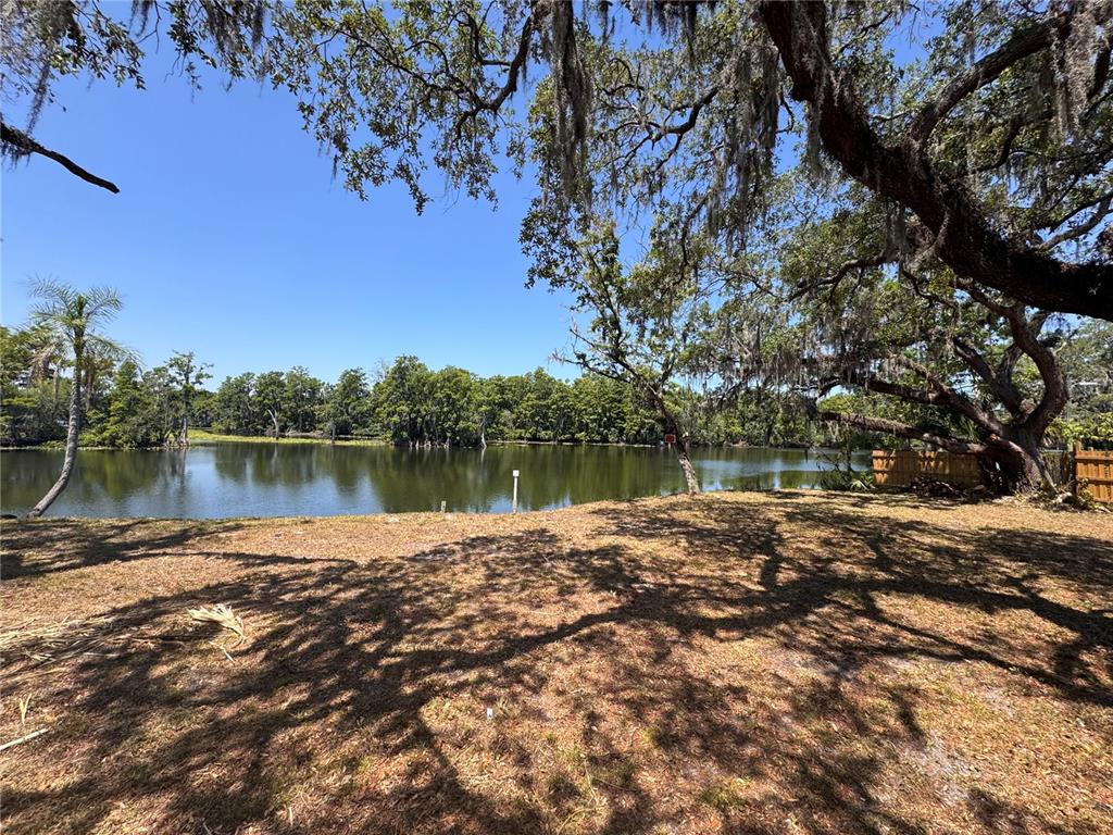 A grassy yard overlooks a calm lake framed by large, moss-draped oak trees — HARNEY, TAMPA, FL