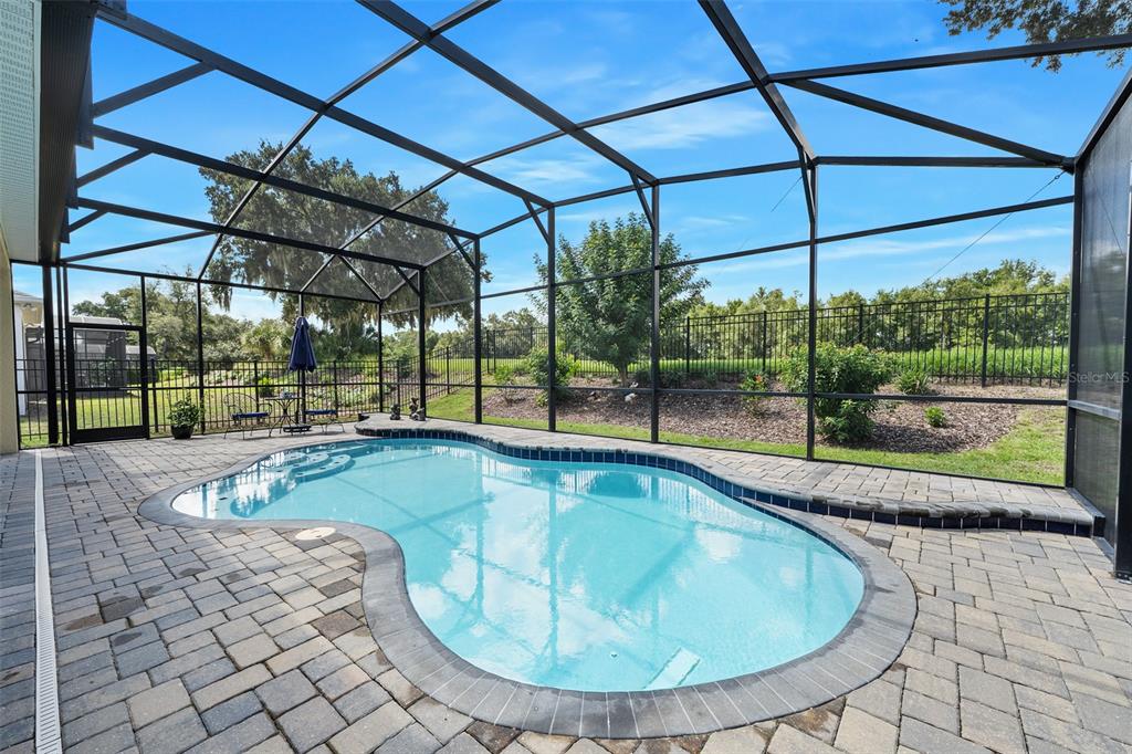 A screened-in patio features a freeform swimming pool surrounded by stone pavers and metal fencing — 7748 FOUR SEASONS BOULEVARD, KISSIMMEE, FL