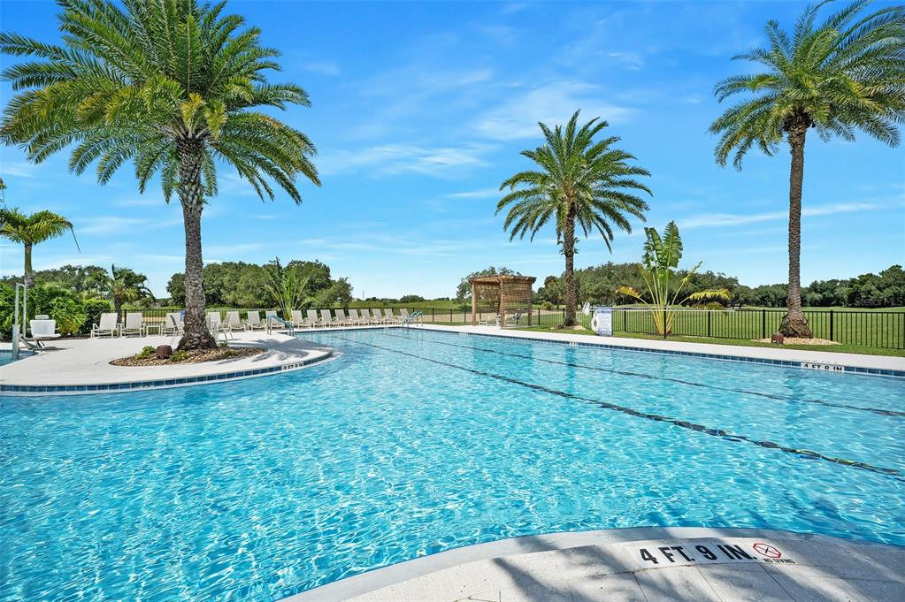 A swimming pool with palm trees and lounge chairs under a clear blue sky — 7748 FOUR SEASONS BOULEVARD, KISSIMMEE, FL