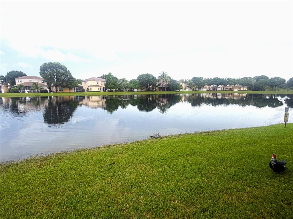 10355 LITTLE MUSTANG WAY, LAKE WORTH, FL — photo 5 of 30