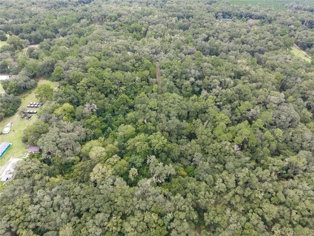 An aerial view shows a dense forest with a small clearing containing several structures — SW 57TH RD, GAINESVILLE, FL