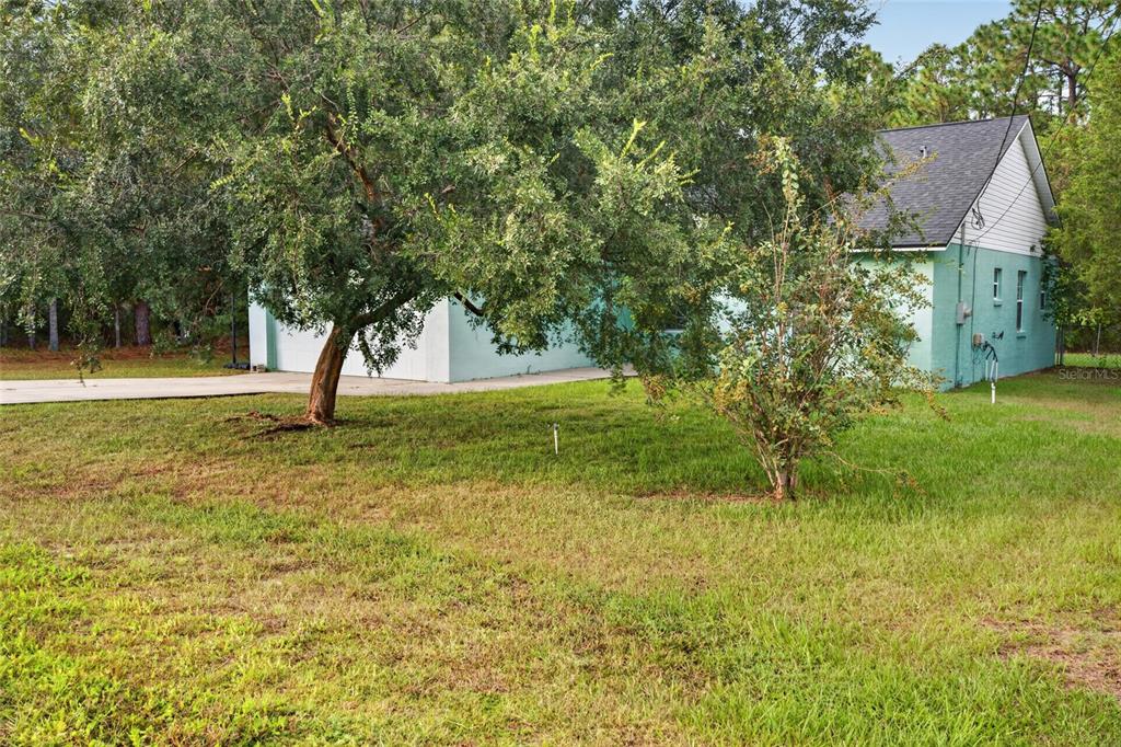 25 FIR TRAIL TRACK, OCALA, FL — photo 5 of 21