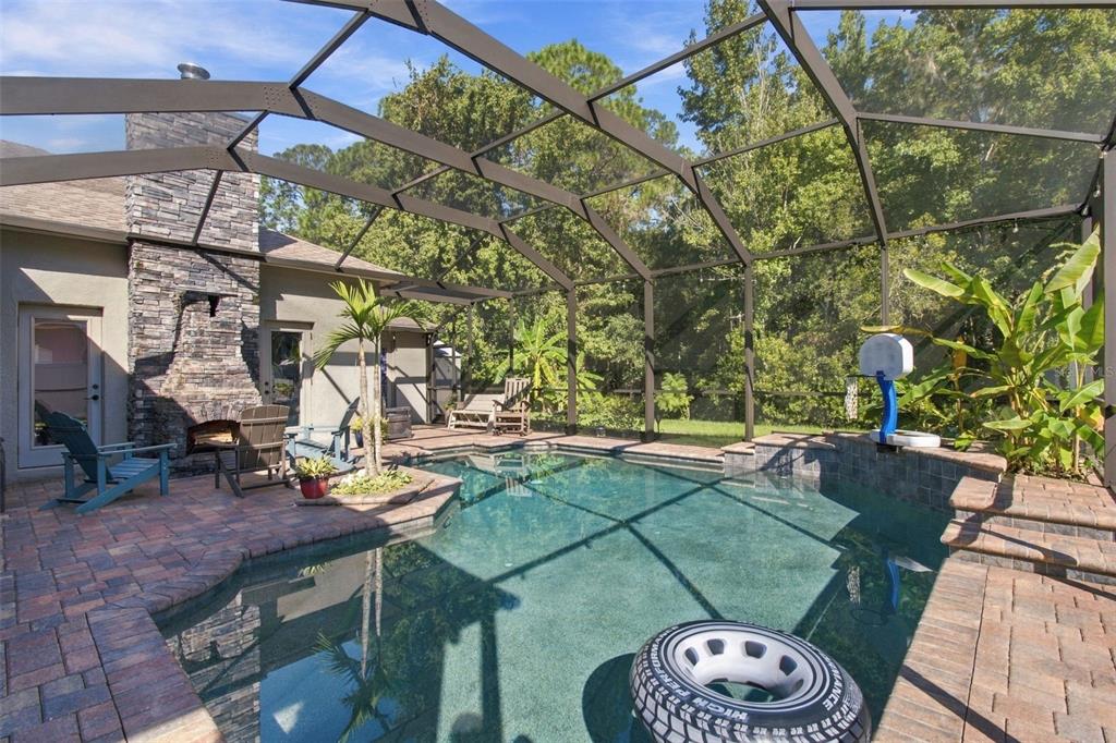26221 SWORD DANCER DRIVE, WESLEY CHAPEL, FL — photo 2 of 30