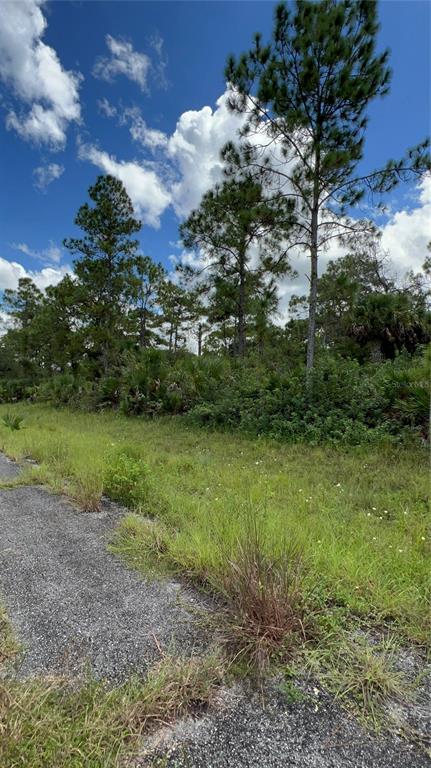 A paved road borders a grassy lot with dense trees and vegetation under a blue sky — 313 JAMES IRWIN TERRACE, LABELLE, FL