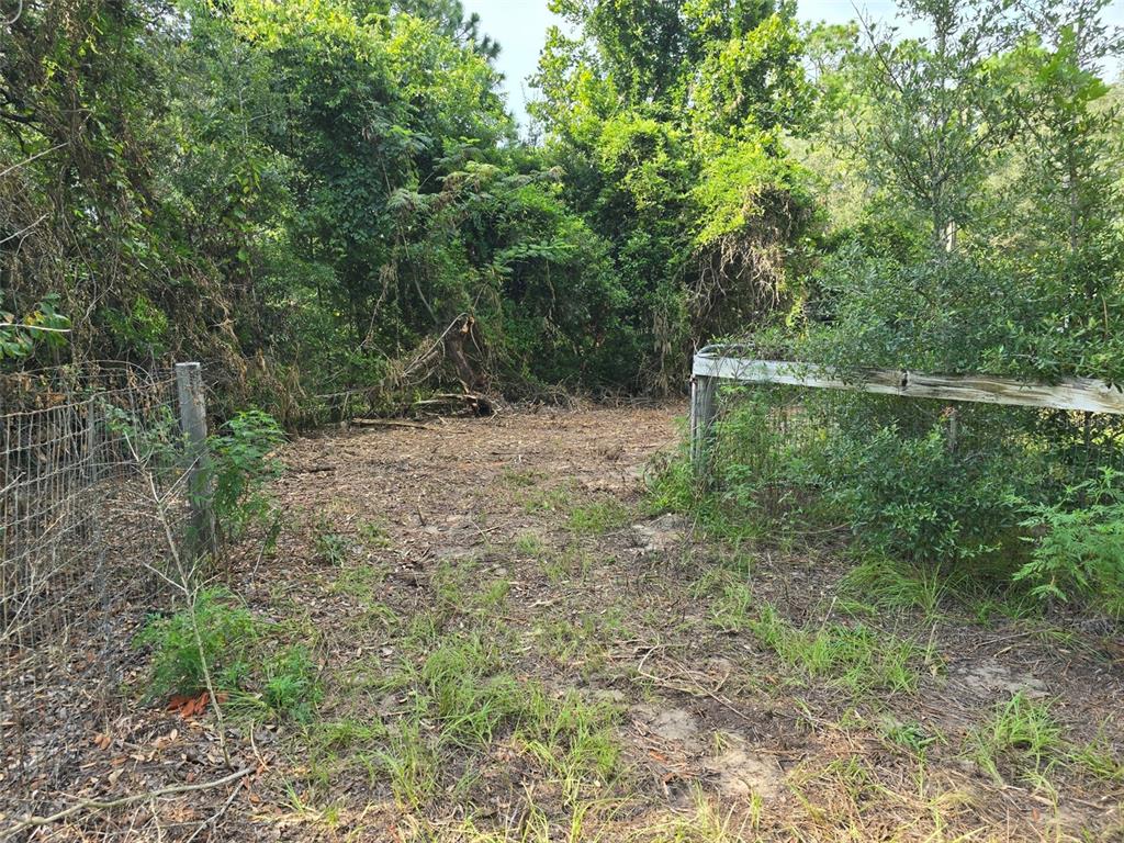 A cleared dirt path leads into a wooded area between two sections of wire fencing — 650 NE 138 AVENUE, WILLISTON, FL