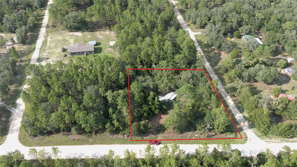 An aerial view shows a wooded lot with a small house outlined in red — 650 NE 138 AVENUE, WILLISTON, FL