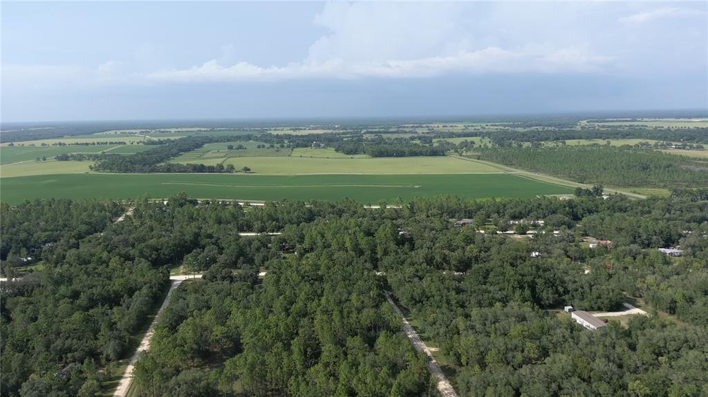 An aerial view shows a wooded residential area bordering large, open agricultural fields — 650 NE 138 AVENUE, WILLISTON, FL