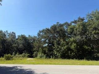 A grassy, vacant lot is bordered by a dense line of mature trees and shrubs — TBD SE 59TH PLACE, OCKLAWAHA, FL