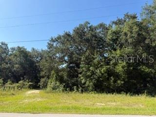 A grassy, undeveloped lot features a dense cluster of mature trees under a clear sky — TBD SE 59TH PLACE, OCKLAWAHA, FL