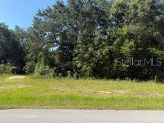 A grassy, vacant residential lot features a paved road in front and dense trees behind — TBD SE 59TH PLACE, OCKLAWAHA, FL